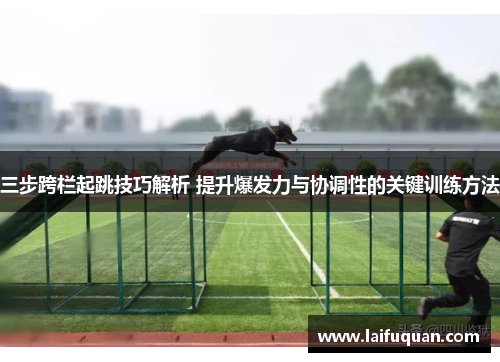 三步跨栏起跳技巧解析 提升爆发力与协调性的关键训练方法