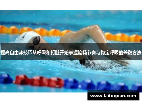 提高自由泳技巧从呼吸和打腿开始掌握流畅节奏与稳定呼吸的关键方法