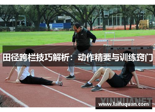 田径跨栏技巧解析：动作精要与训练窍门